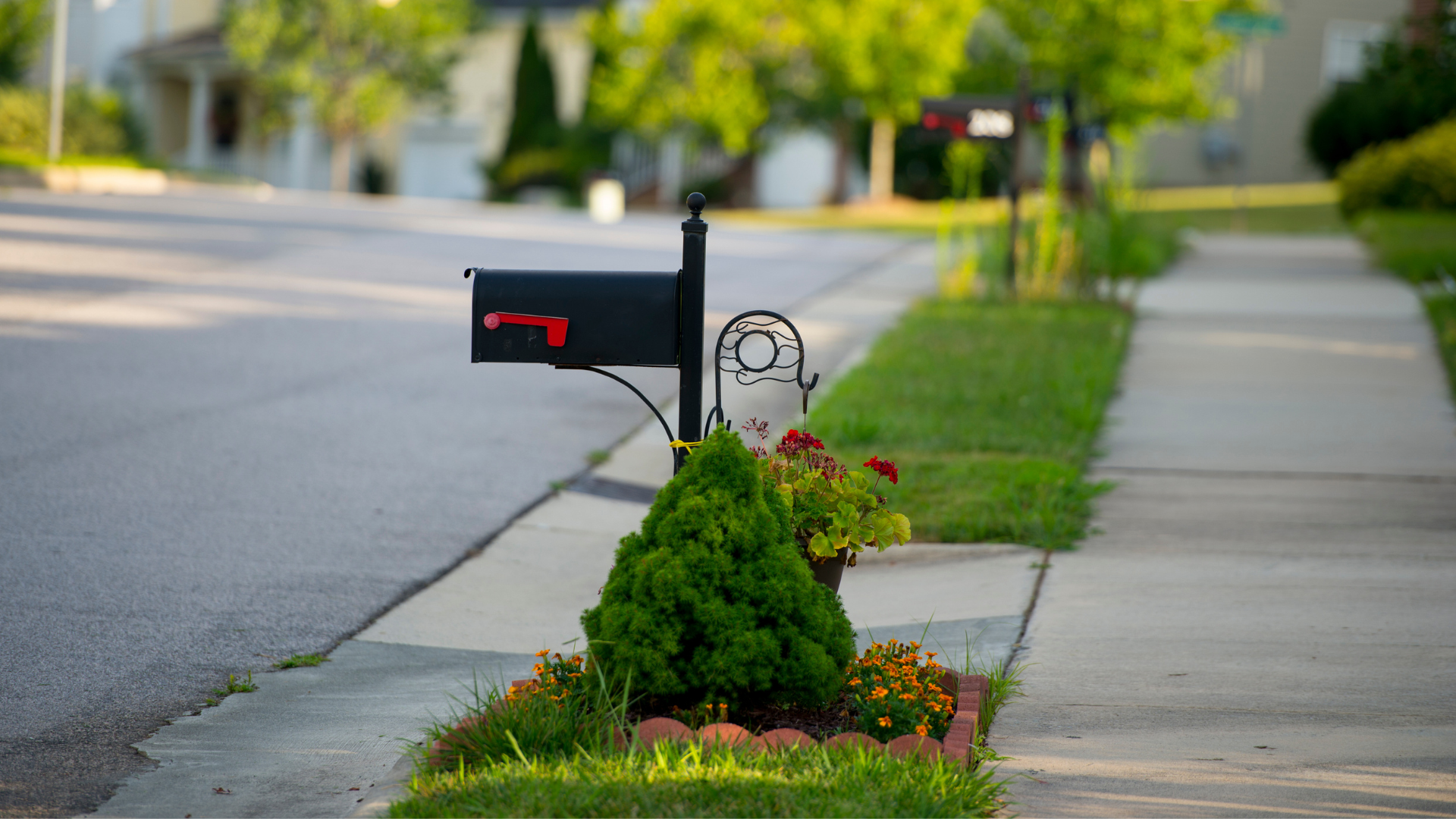 Home Improvement Projects - Black mailbox with colorful flowers planted beside it on a sunny day